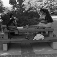 1984 Students, Outdoors, Campus Shots 01
