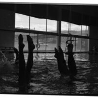 1989 Quinn Coliseum, Swimming Pool 11