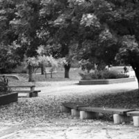 1984 Campus 12