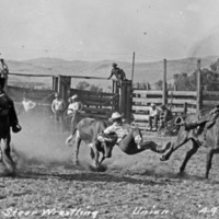 Union Stock Show, 1949 1