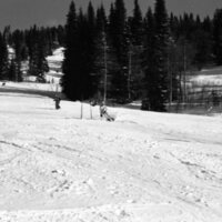 1987 Skiing, Competitive 10