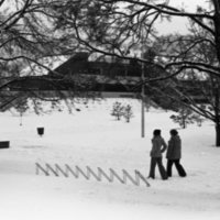 1978 Campus in Winter