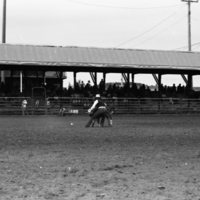 1981 Rodeo, Calf Roping 07