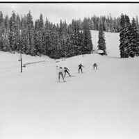 1990 Skiing, Cross Country 09