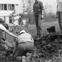 1981 Campus Tree Plantings 16