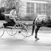 1988 Employee, Jack Johnson Carriage Ride 13