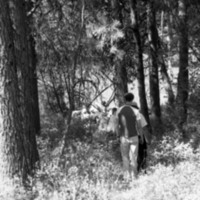 1986 Science Camp, Outdoors 14