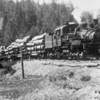 Logging Train 6