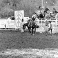 1987 Rodeo, Bronco Riding 02