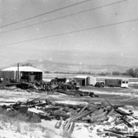 1980 Log Plant 05
