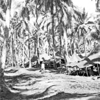 Dobodura Camp 2