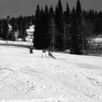 1987 Skiing, Competitive 04