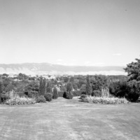 1949-50 Campus Lanscaping