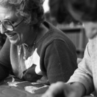 1981 Pierce Library, Fund Raising Quilt 11