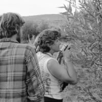 1973 Field Trip, Outdoors 07