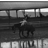 1991 Eastern Rodeo, Bronco Riding 09