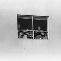 1985 Residence Life, Windows 05