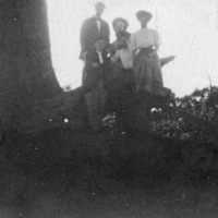 Reuter Group-W, Tree