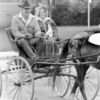 1988 Employee, Jack Johnson Carriage Ride 10