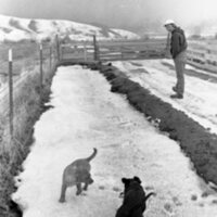1974 Livestock Ranch 04