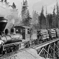 Logging Train 8