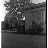 1989 Pierce Library Windows