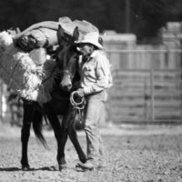 1981 Mule Rodeo, Pack Mule 01