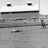 1970 Rodeo, Bulldogging 03