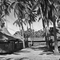 Binmaley Camp 1
