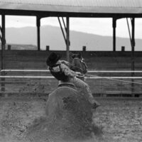 1991 Eastern Rodeo, Roping 08
