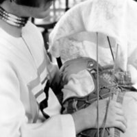 2012.2.xx155.021.jpg