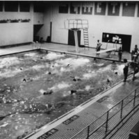 70's Quinn Swimming Pool
