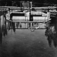 Oregon, Fish Dam
