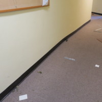 Dorian and Hunt Hall 350