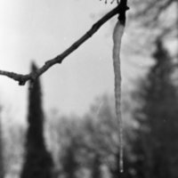 1985 Icicle 01
