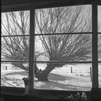 La Grande Home, Hill 6