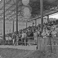 1985 Homecoming Football Fans 04