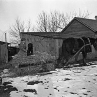 La Grande, Straw Boat 3