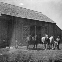 Farm, Family &amp; Horses