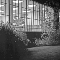 1976 Pierce Library Windows
