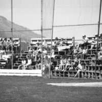 1985 Baseball, April Fans