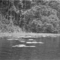 Big Emby Lake 6