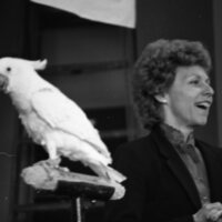 1985 Ackerman Elementary School, Safari 18