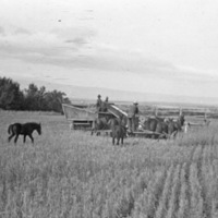 Farming 2