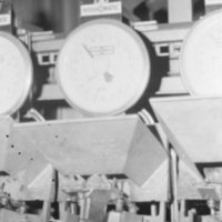 1979 Field Trip, Grande Ronde Commodities Plant 14