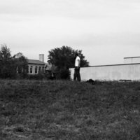 1981 Campus Tree Plantings 05
