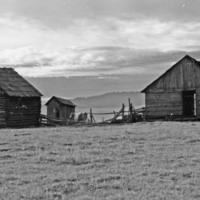 1985 Agriculture, Ranch 01