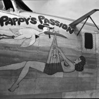 B-24, "Pappy's Passion"