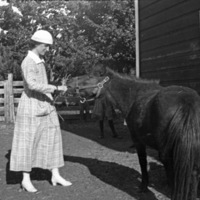 Union County, Woman &amp; Horse 1