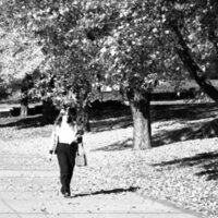 1978 Students, Outdoor Scenes 24